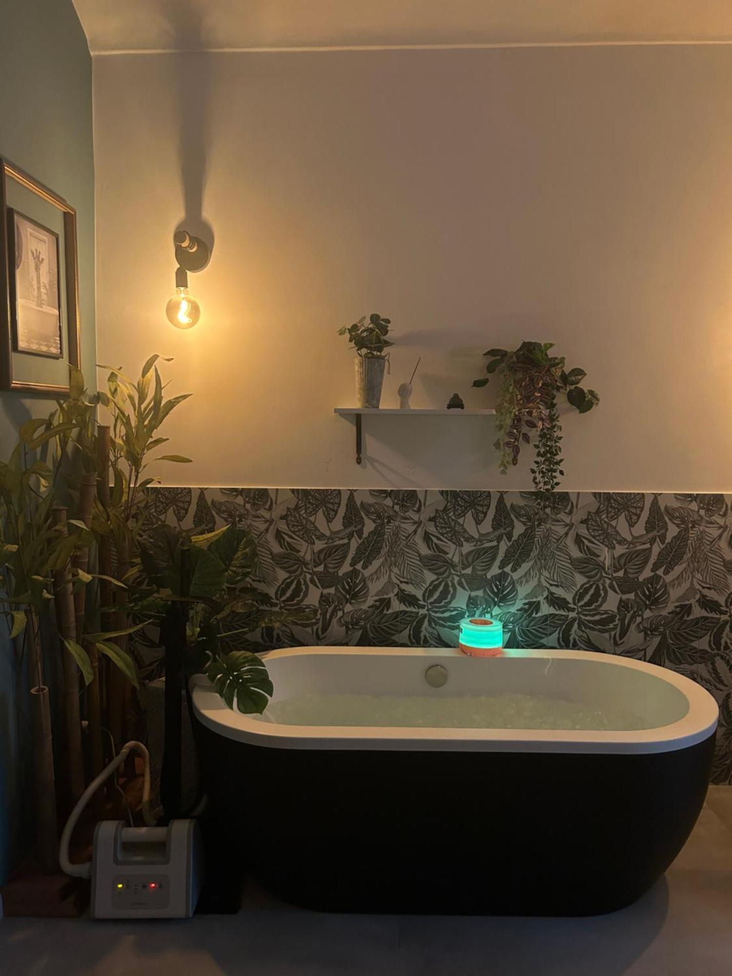 Blue Zen - Relaxing Loft A Porta Nuova Torino